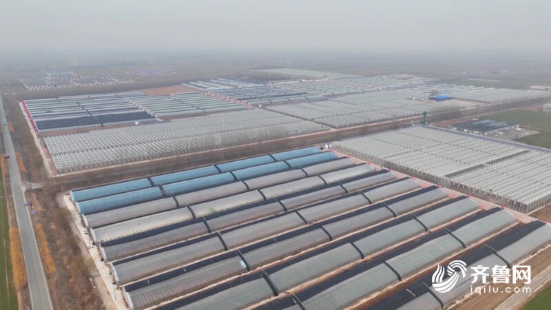 企业网站建设：构建信息高地的新桥梁